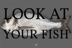 Look at your Fish